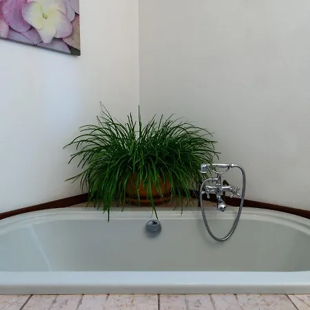 Candida By Interhome Delebio