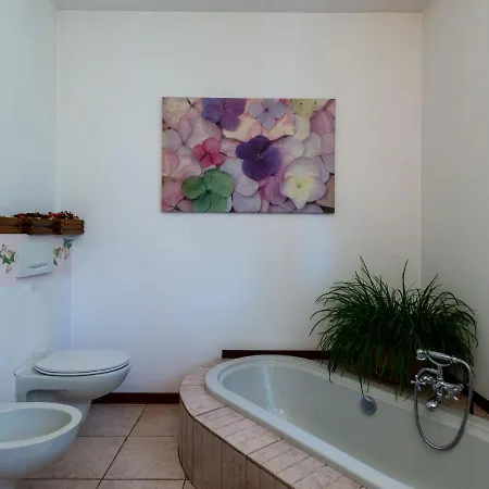Candida By Interhome *