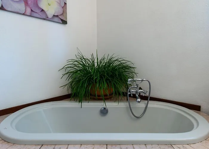 Candida By Interhome Delebio